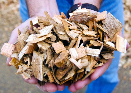 Biomass and Bioenergy discussion at NU