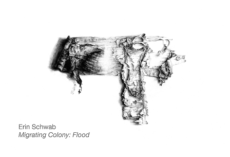 NU welcomes artist Erin Schwab