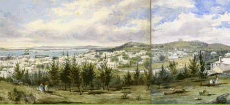 NU researchers earn grant together to study climate, empire and timber trade
