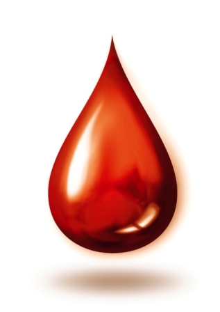 Blood and organs with ENACTUS for Halloween