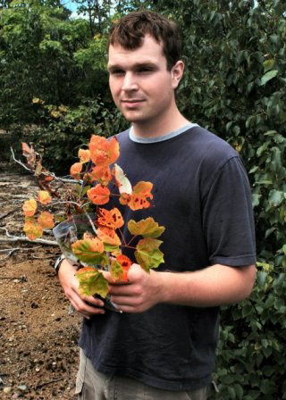 NU grad earns national award for forest sustainability