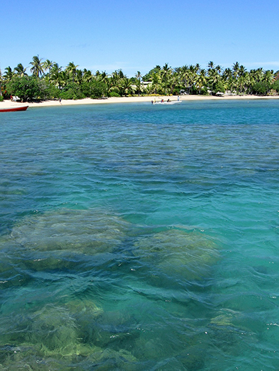 Marine conservation discussion at NU